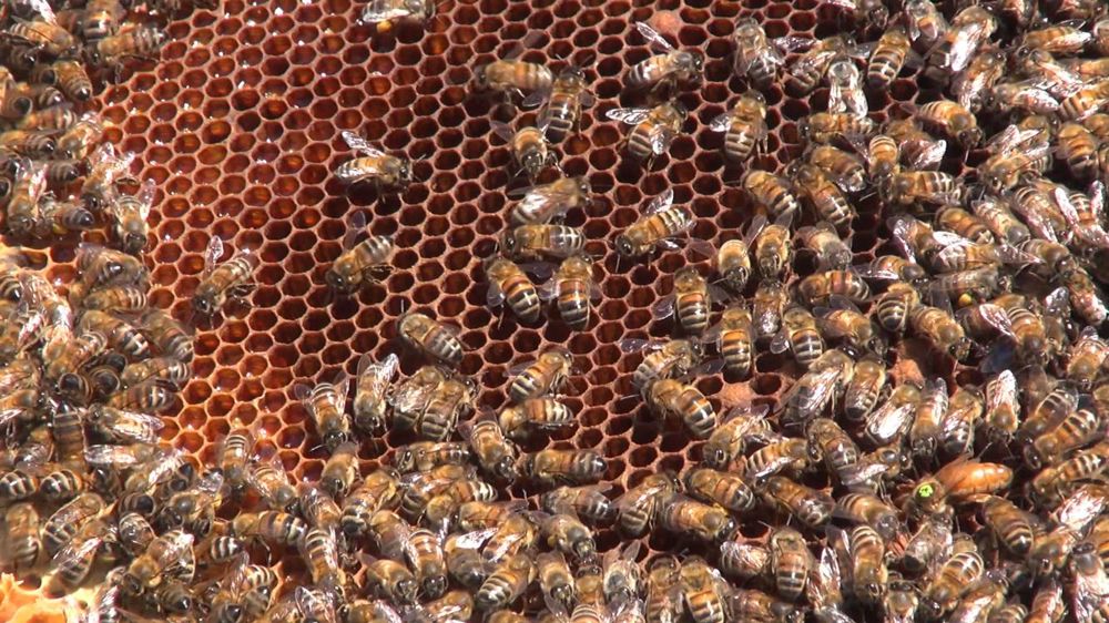 © Adèle Magnard/GFA